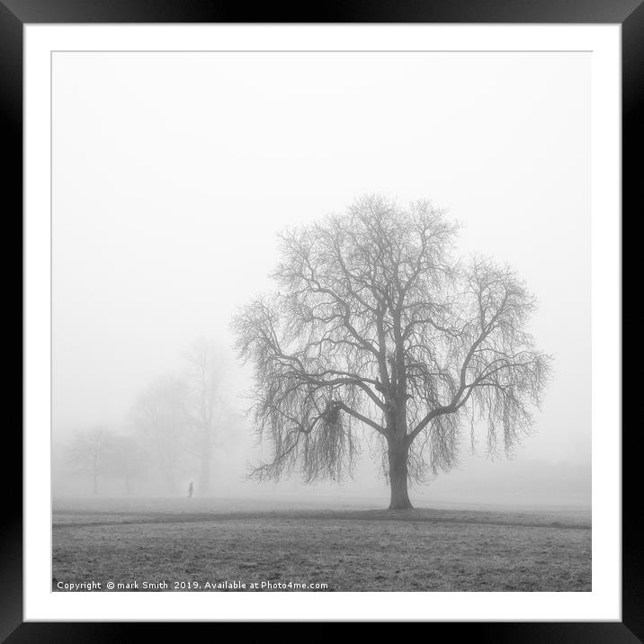 Trees In The Mist Framed Mounted Print by mark Smith