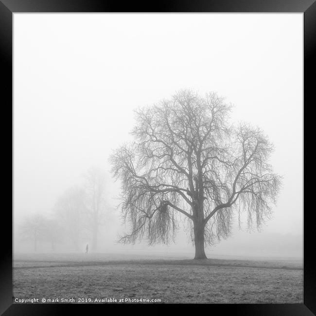 Trees In The Mist Framed Print by mark Smith