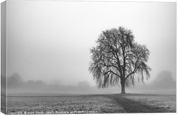 Lone Tree, Nonsuch Park Canvas Print by mark Smith