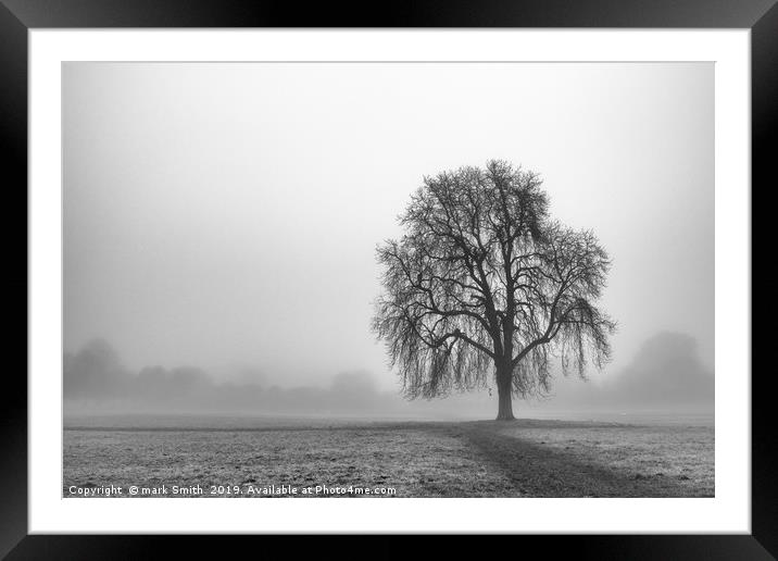 Lone Tree, Nonsuch Park Framed Mounted Print by mark Smith