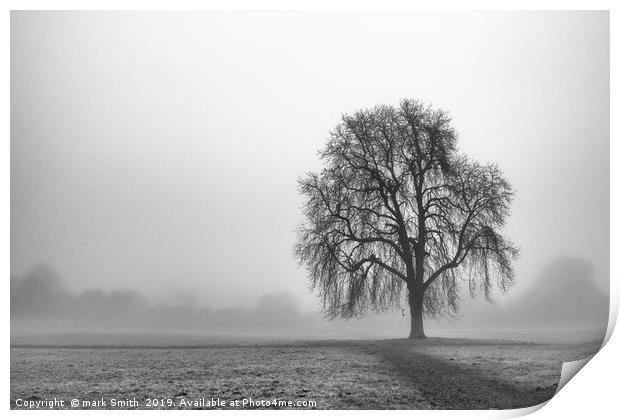 Lone Tree, Nonsuch Park Print by mark Smith