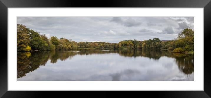 Trees changing their colours Framed Mounted Print by Jason Wells