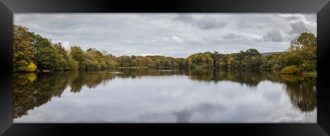 Trees changing their colours Framed Print by Jason Wells