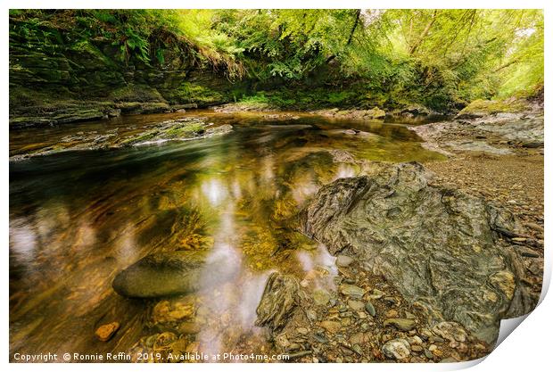 Valley Stream Print by Ronnie Reffin