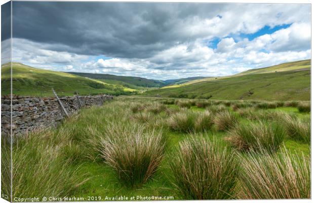 Yorkshire Dales - moors on the Buttertubs pass Canvas Print by Chris Warham