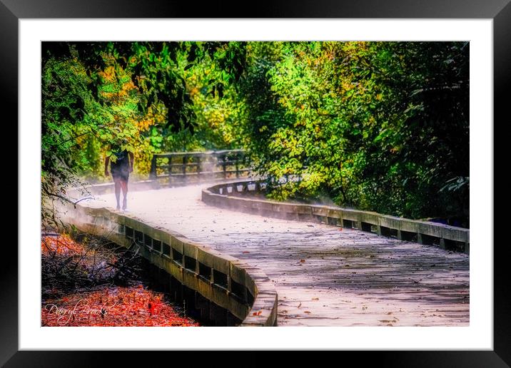 Steamy Day on Trail Framed Mounted Print by Darryl Brooks