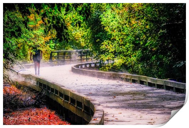 Steamy Day on Trail Print by Darryl Brooks