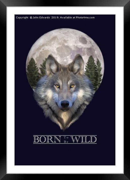 Born to be Wild Framed Mounted Print by John Edwards