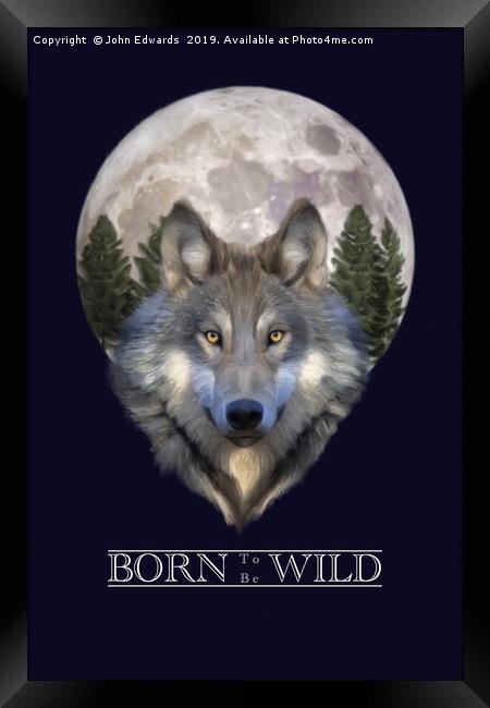 Born to be Wild Framed Print by John Edwards