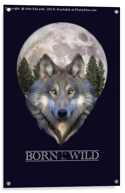 Born to be Wild Acrylic by John Edwards