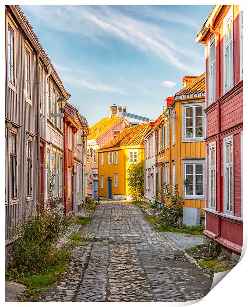 Trondheim Narrow Cobblestoned Street Print by Antony McAulay