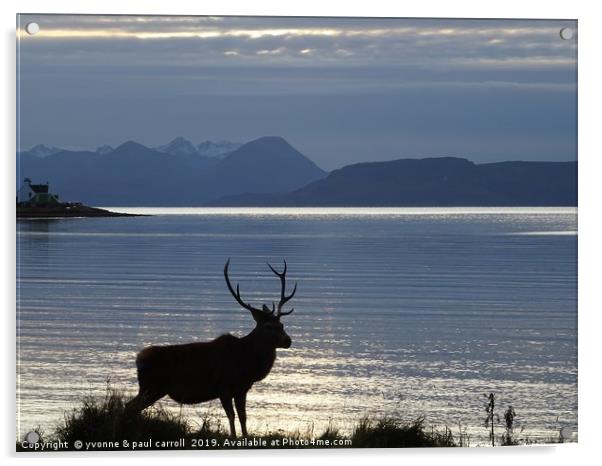 Stag at Applecross Bay, Wester Ross, Scotland Acrylic by yvonne & paul carroll