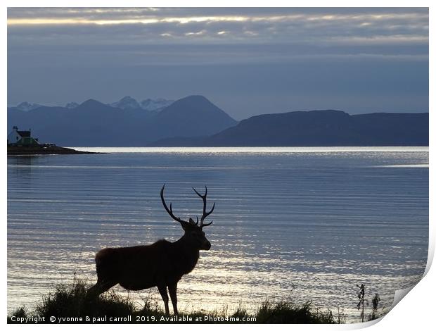 Stag at Applecross Bay, Wester Ross, Scotland Print by yvonne & paul carroll