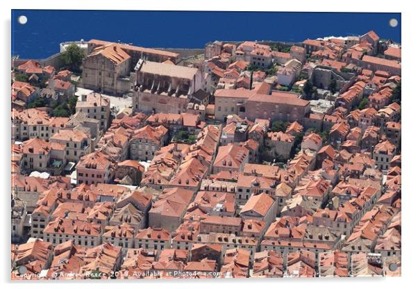 Old Dubrovnik town from above Acrylic by Andrew Reece