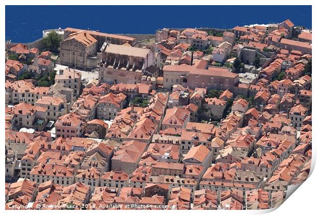 Old Dubrovnik town from above Print by Andrew Reece