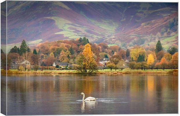 Grasmere Canvas Print by Mark S Rosser