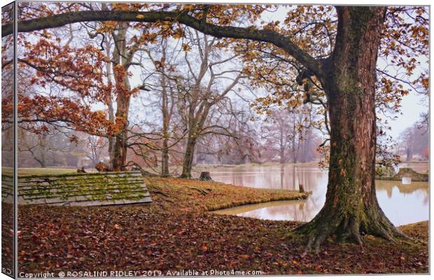 "Misty day by an Autumn lake " Canvas Print by ROS RIDLEY