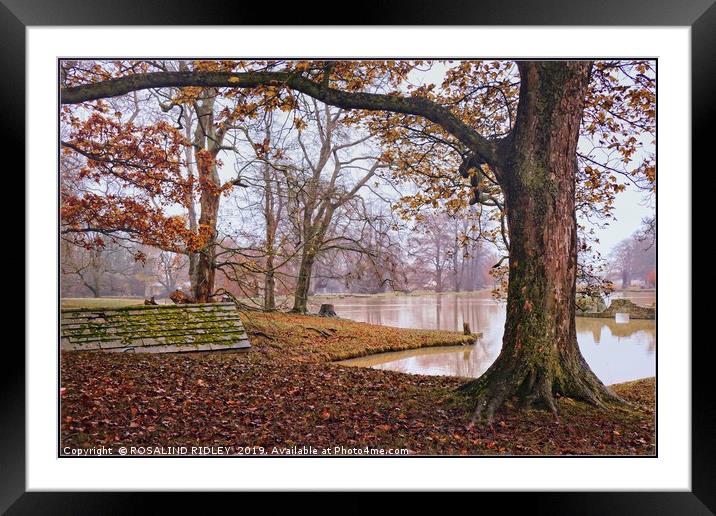 "Misty day by an Autumn lake " Framed Mounted Print by ROS RIDLEY