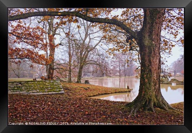"Misty day by an Autumn lake " Framed Print by ROS RIDLEY