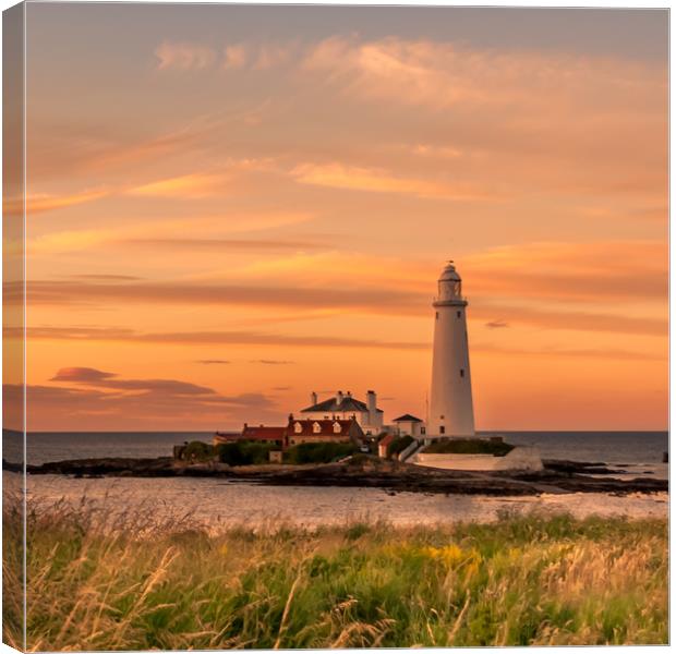 Summers evening sunset at St. Marys Canvas Print by Naylor's Photography