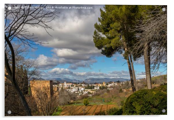 Granada from The Alhambra Gardens Acrylic by Robert Murray