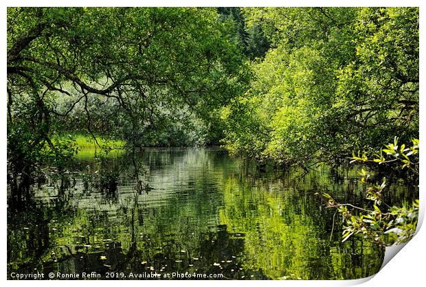 Water Channel Print by Ronnie Reffin