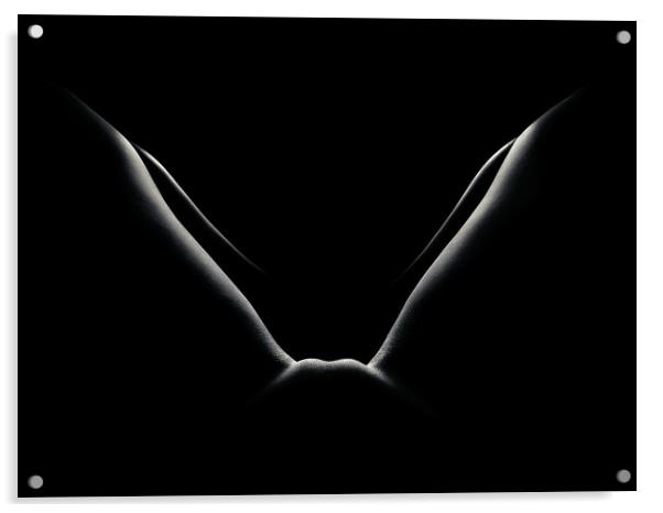 Nude woman bodyscape 50 Acrylic by Johan Swanepoel