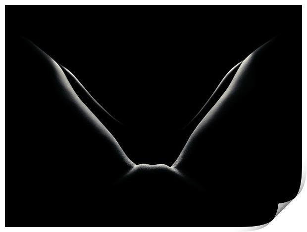 Nude woman bodyscape 50 Print by Johan Swanepoel