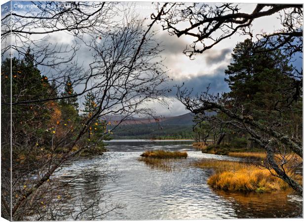 Loch Morlich and Cairn Gorm Canvas Print by Reg K Atkinson