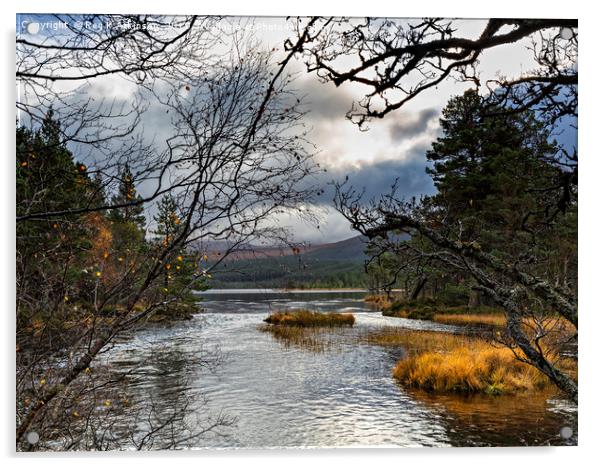 Loch Morlich and Cairn Gorm Acrylic by Reg K Atkinson