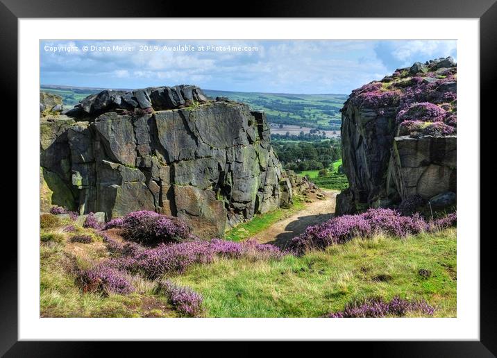 Ilkley Moor Yorkshire Framed Mounted Print by Diana Mower