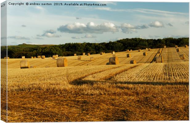 ROLLED STRAW Canvas Print by andrew saxton
