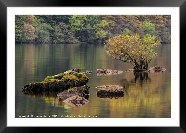 Tree In The Loch Framed Mounted Print by Ronnie Reffin