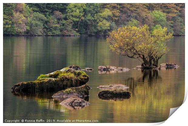 Tree In The Loch Print by Ronnie Reffin