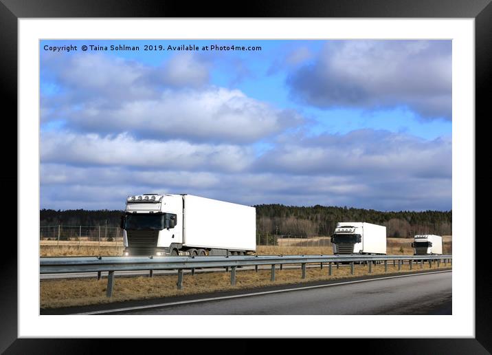 Three White Semi Trucks Platoon on Freeway Framed Mounted Print by Taina Sohlman
