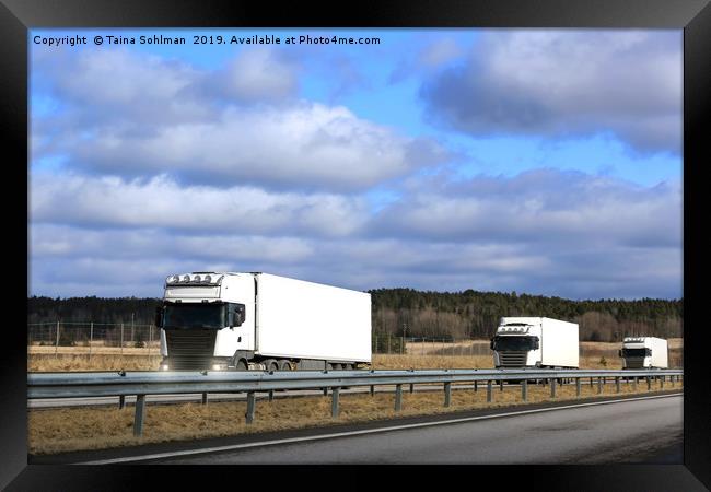 Three White Semi Trucks Platoon on Freeway Framed Print by Taina Sohlman