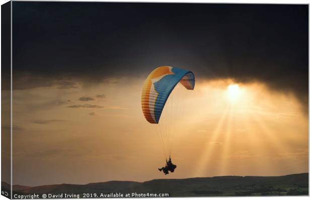 Paraglider over Northumberland Canvas Print by David Irving