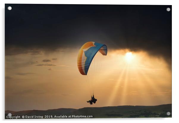 Paraglider over Northumberland Acrylic by David Irving