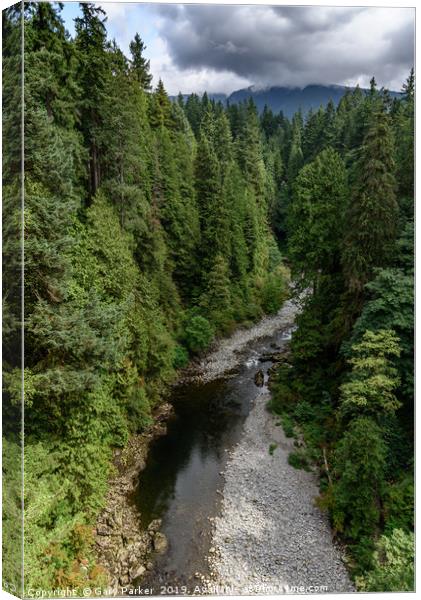 Capilano River, Vancouver, Canada  Canvas Print by Gary Parker