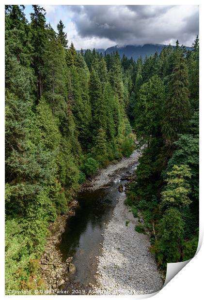 Capilano River, Vancouver, Canada  Print by Gary Parker