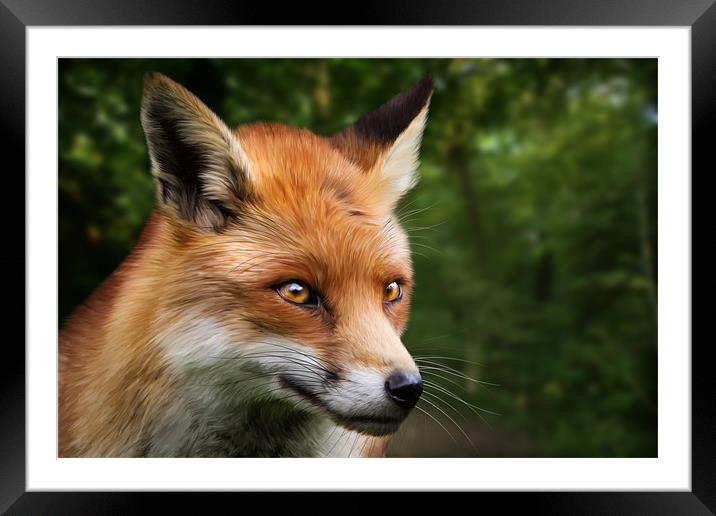 Foxy Framed Mounted Print by Simon Wrigglesworth