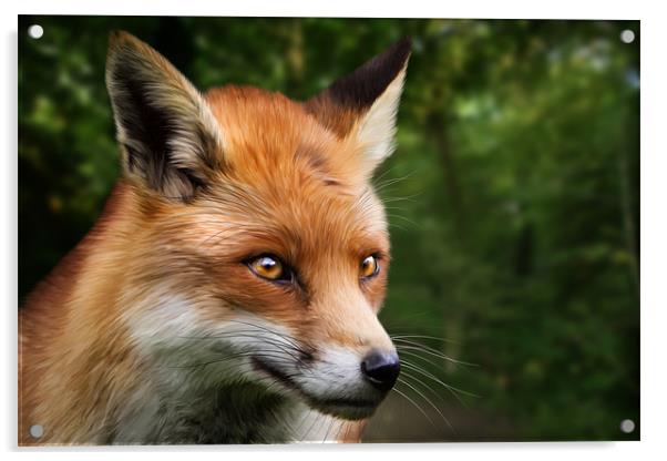 Foxy Acrylic by Simon Wrigglesworth