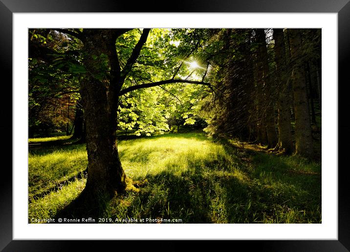 Hidden Meadow Framed Mounted Print by Ronnie Reffin