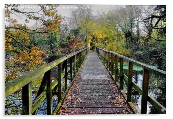 Beeleigh Footbridge Acrylic by Diana Mower
