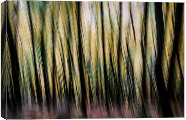 Autumn Trees Abstract Canvas Print by Maggie McCall