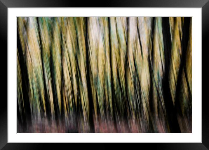 Autumn Trees Abstract Framed Mounted Print by Maggie McCall