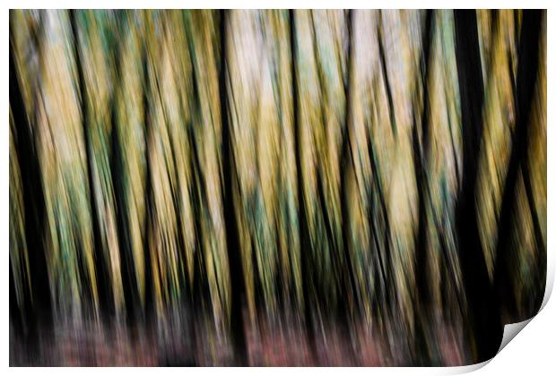 Autumn Trees Abstract Print by Maggie McCall