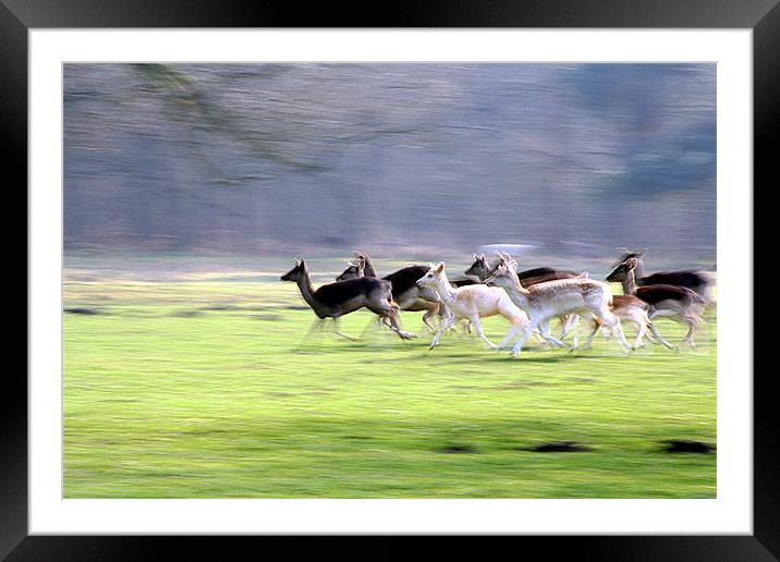 Movement Framed Mounted Print by Doug McRae