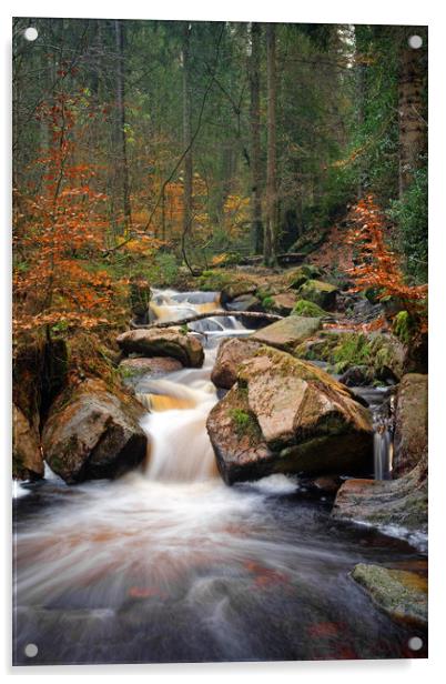 Wyming Brook in Autumn                             Acrylic by Darren Galpin