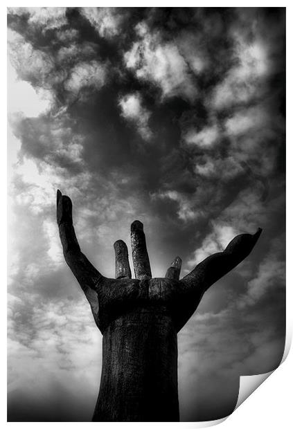 Reach for the Sky Print by Chris Manfield